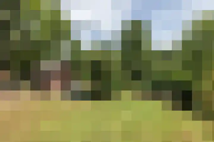 Wilmenweg 31 a Merkelbeek thumbnail 37