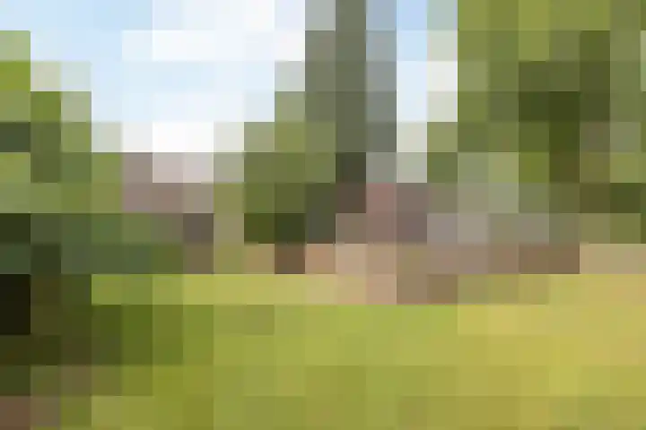 Wilmenweg 31 a Merkelbeek thumbnail 40