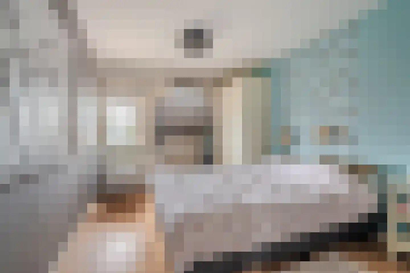 Wilmerskamp 18 Vlagtwedde thumbnail 31