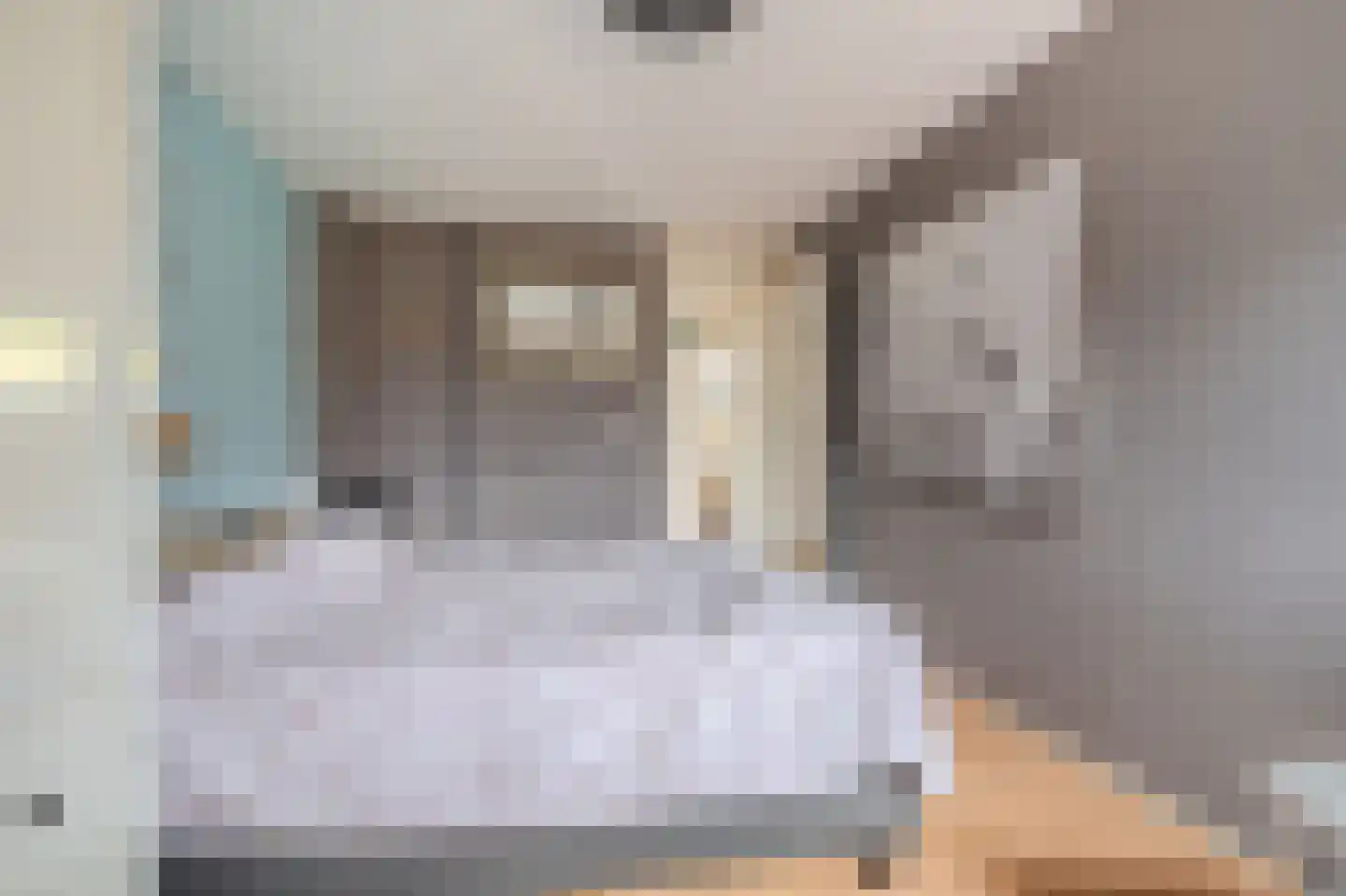 Wilmerskamp 18 Vlagtwedde thumbnail 32