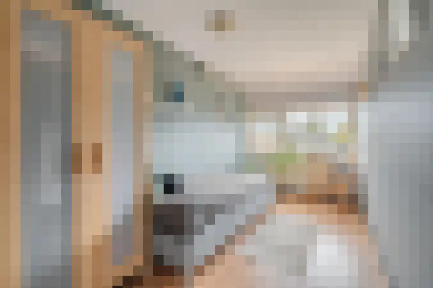 Wilmerskamp 18 Vlagtwedde thumbnail 35