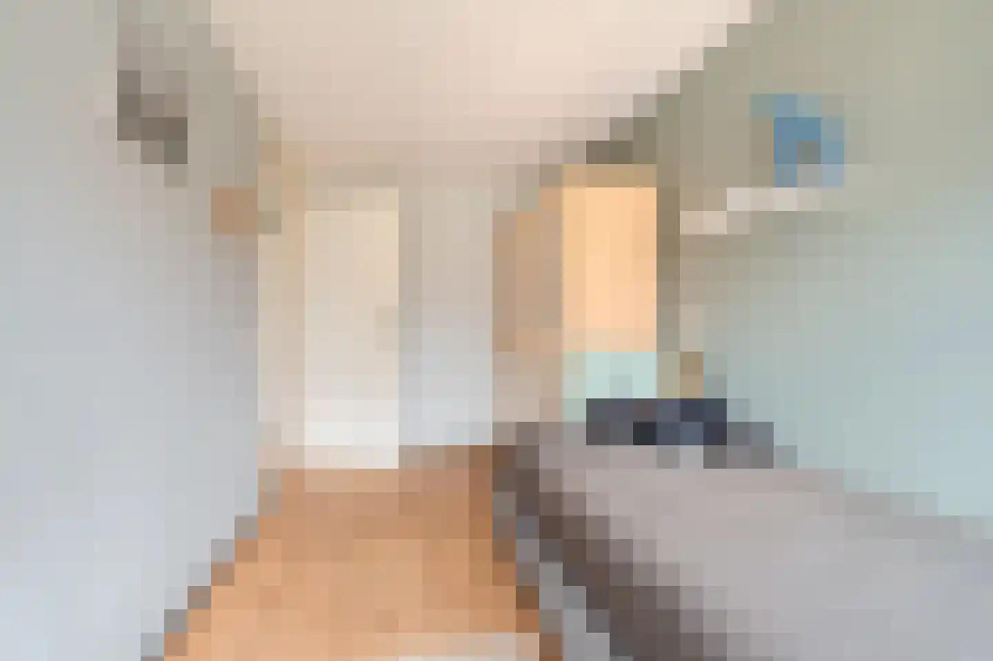 Wilmerskamp 18 Vlagtwedde thumbnail 36