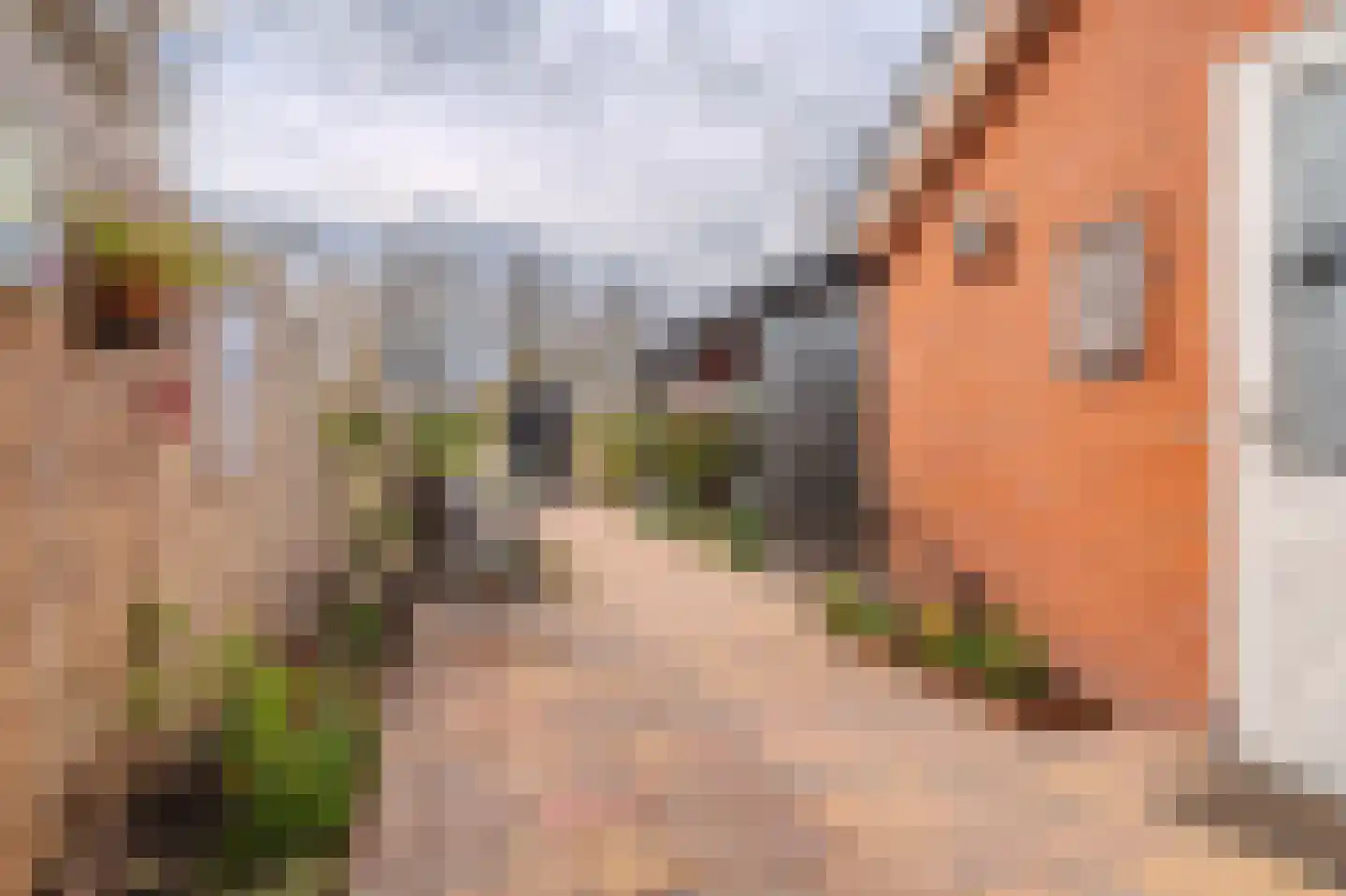 Wilmerskamp 18 Vlagtwedde thumbnail 6