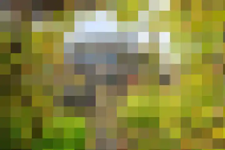 Wilmerskamp 91 Vlagtwedde thumbnail 11
