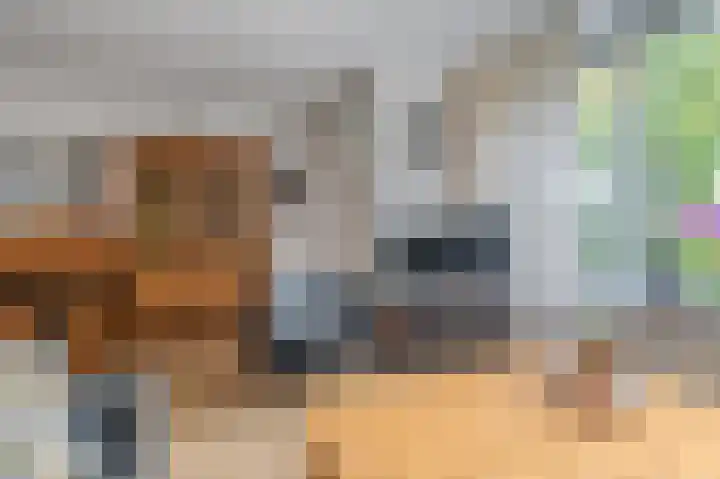 Wilmerskamp 91 Vlagtwedde thumbnail 13