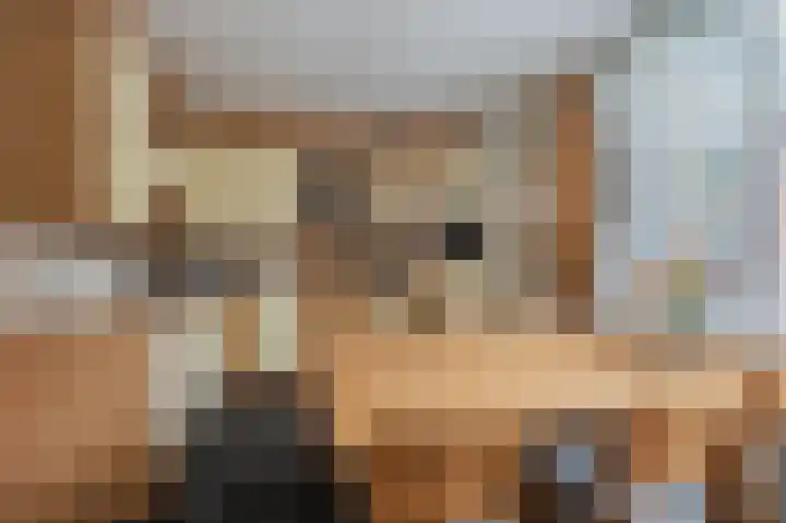 Wilmerskamp 91 Vlagtwedde thumbnail 17