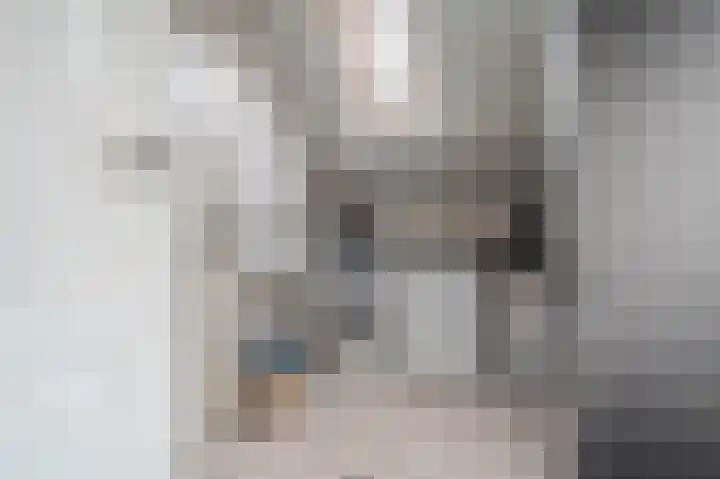 Wilmerskamp 91 Vlagtwedde thumbnail 19