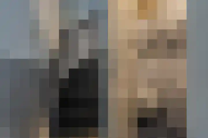 Wilmerskamp 91 Vlagtwedde thumbnail 20