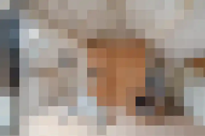 Wilmerskamp 91 Vlagtwedde thumbnail 30