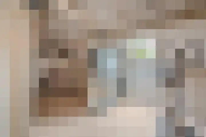 Wilmerskamp 91 Vlagtwedde thumbnail 31