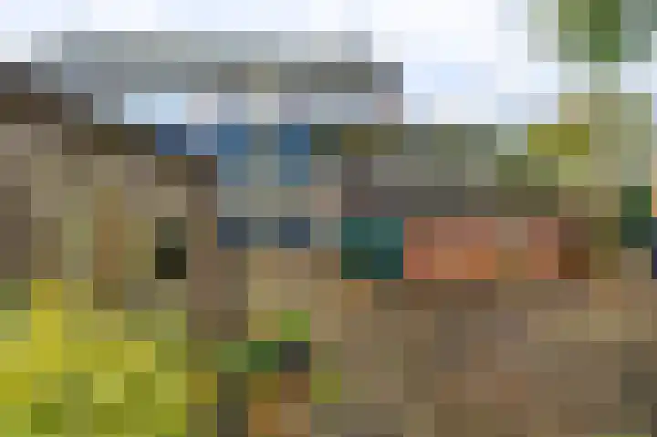 Wilmerskamp 91 Vlagtwedde thumbnail 4
