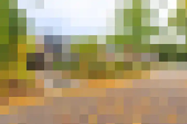 Wilmerskamp 91 Vlagtwedde thumbnail 6