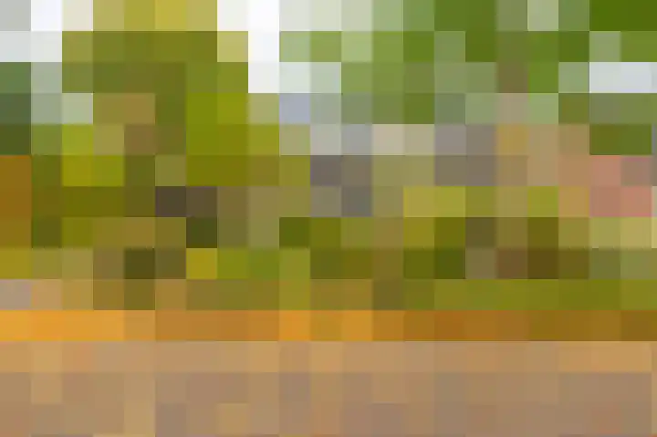 Wilmerskamp 91 Vlagtwedde thumbnail 7