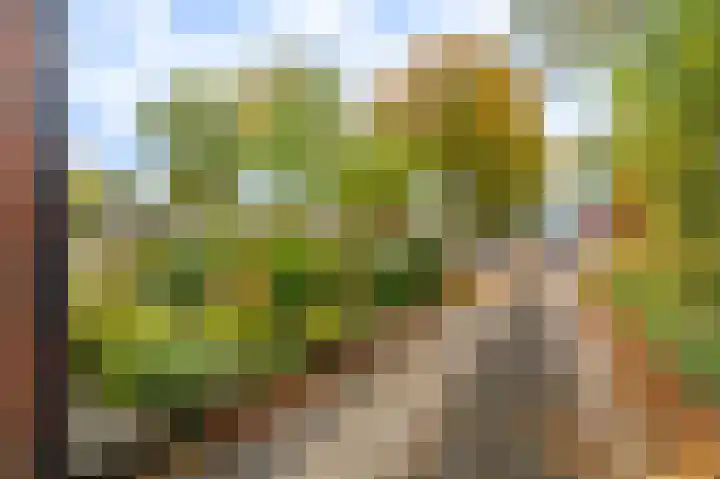 Wilmerskamp 91 Vlagtwedde thumbnail 8