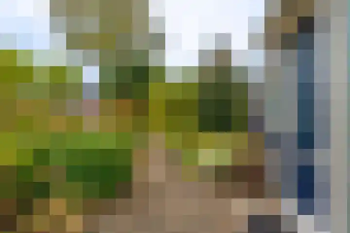 Wilmerskamp 91 Vlagtwedde thumbnail 9