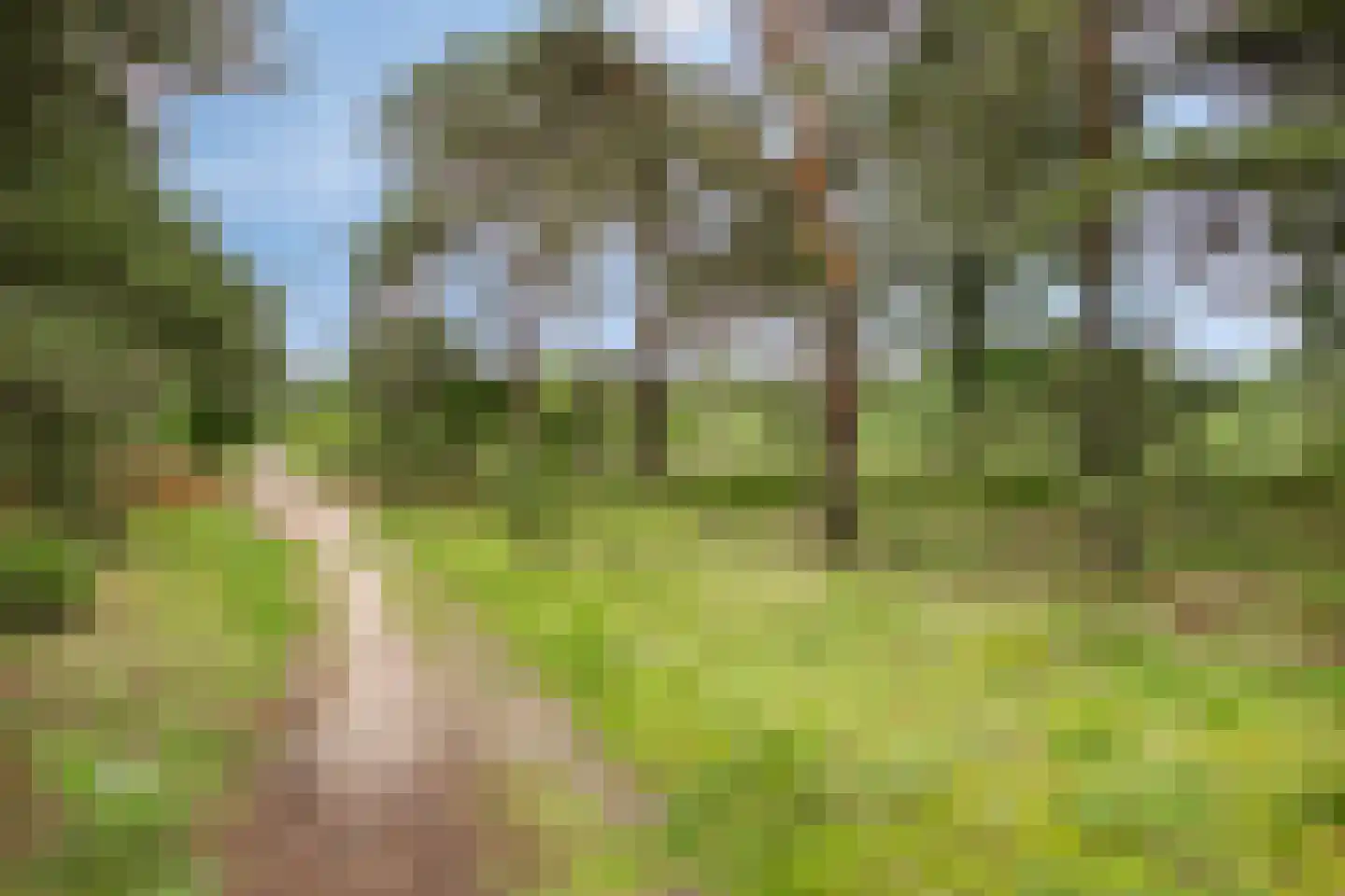 Wilniserf 35 Tilburg thumbnail 59