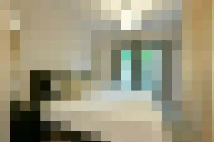 Wilnisse Zijweg 1 B Wilnis thumbnail 11