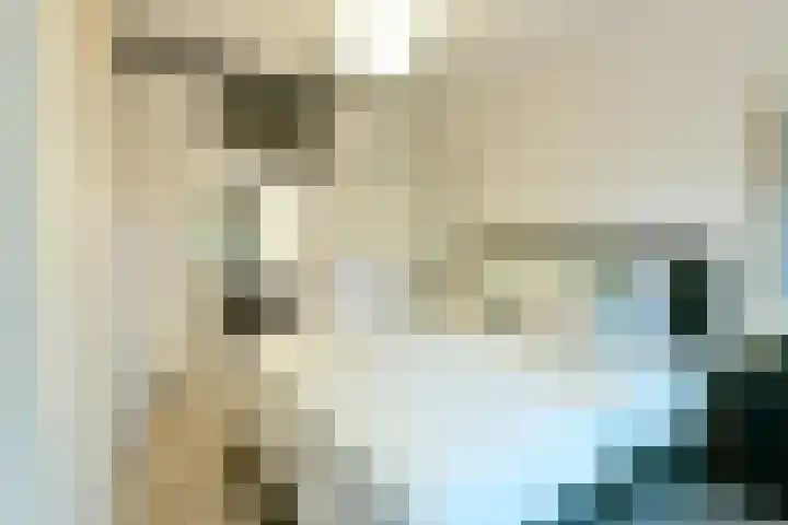 Wilnisse Zijweg 1 B Wilnis thumbnail 13