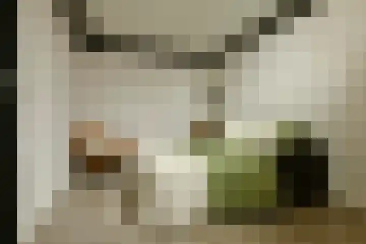 Wilnisse Zijweg 1 B Wilnis thumbnail 17