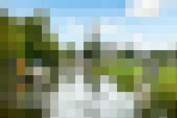 Wilnisse Zijweg 1 B Wilnis thumbnail 20
