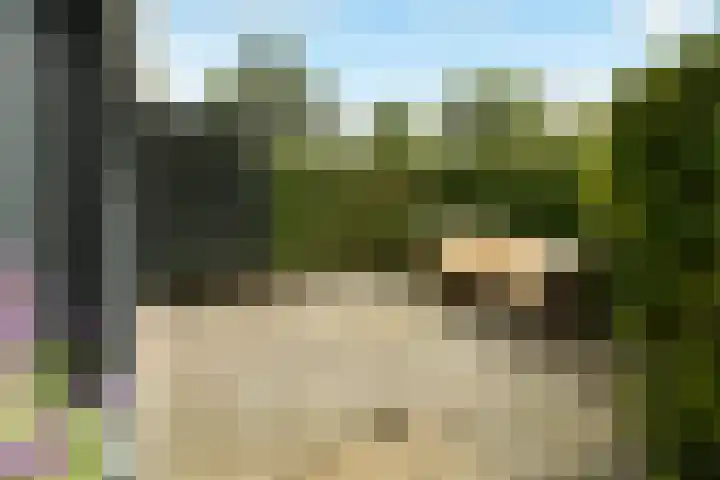 Wilnisse Zijweg 1 B Wilnis thumbnail 7