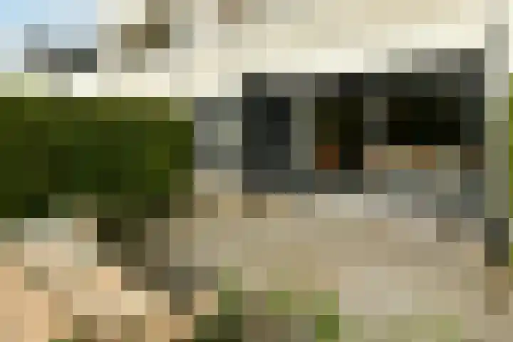 Wilnisse Zijweg 1 B Wilnis thumbnail 8