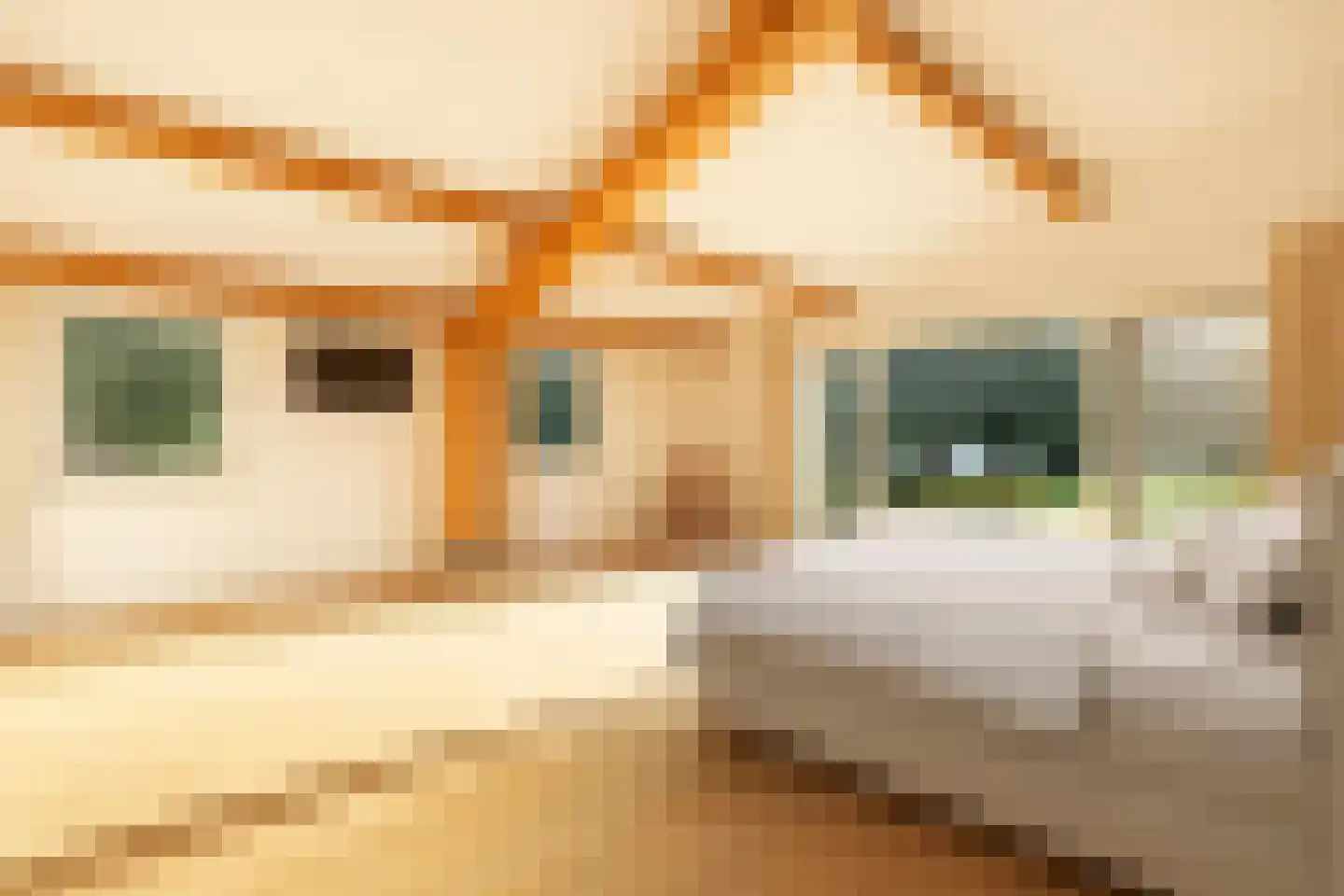 Wilnisse Zuwe 35 Wilnis thumbnail 20