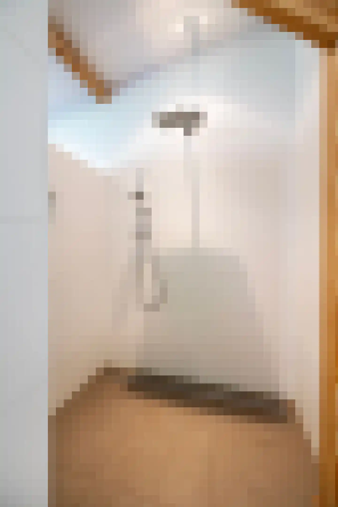 Wilnisse Zuwe 35 Wilnis thumbnail 24
