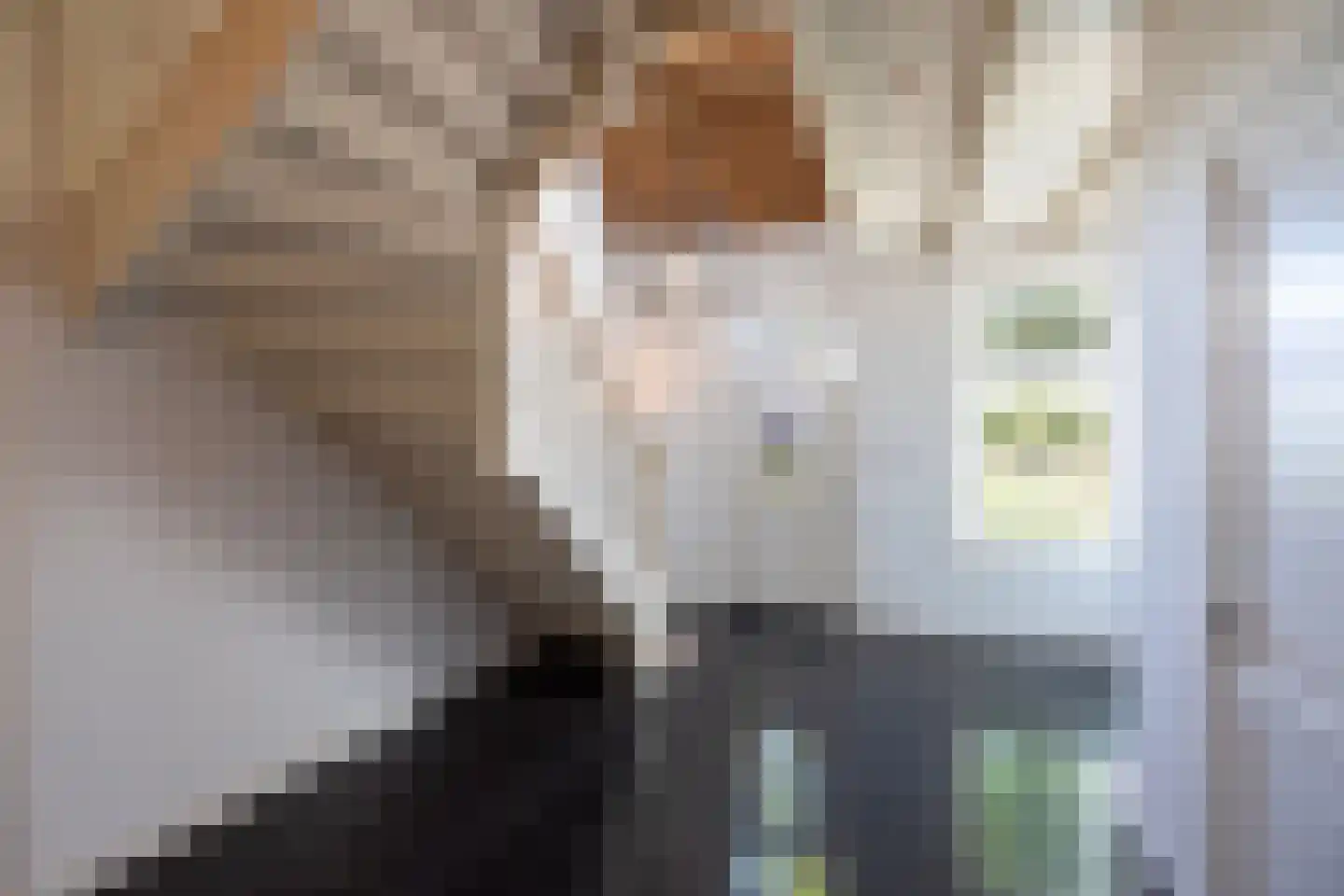 Wilnisse Zuwe 35 Wilnis thumbnail 32