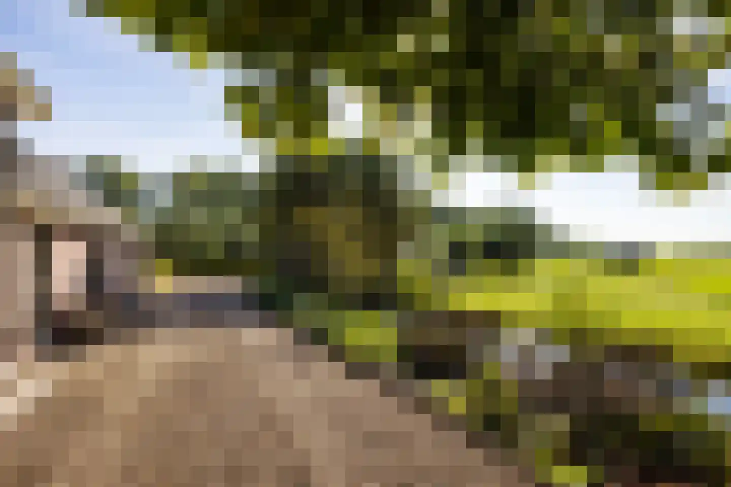 Wilnisse Zuwe 35 Wilnis thumbnail 47
