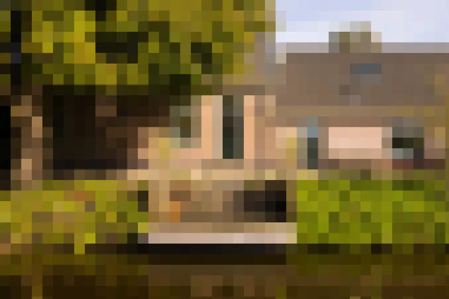 Wilnisse Zuwe 35 Wilnis thumbnail 5