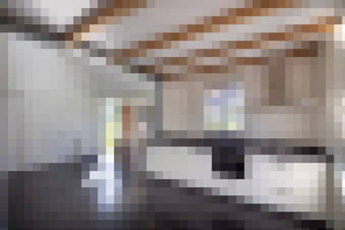 Wilnisse Zuwe 35 Wilnis thumbnail 54