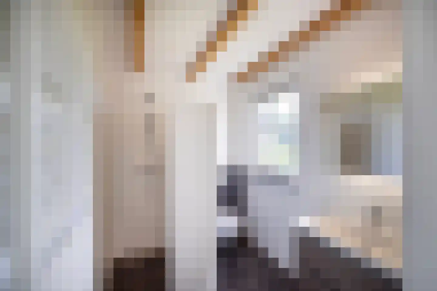 Wilnisse Zuwe 35 Wilnis thumbnail 55
