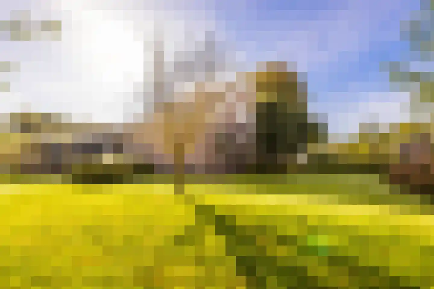 Wilnisse Zuwe 35 Wilnis thumbnail 6