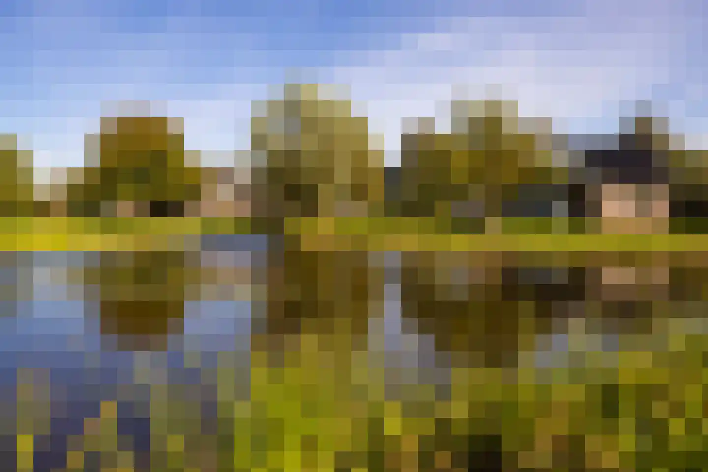 Wilnisse Zuwe 35 Wilnis thumbnail 65