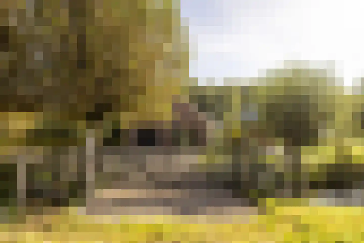 Wilnisse Zuwe 35 Wilnis thumbnail 66