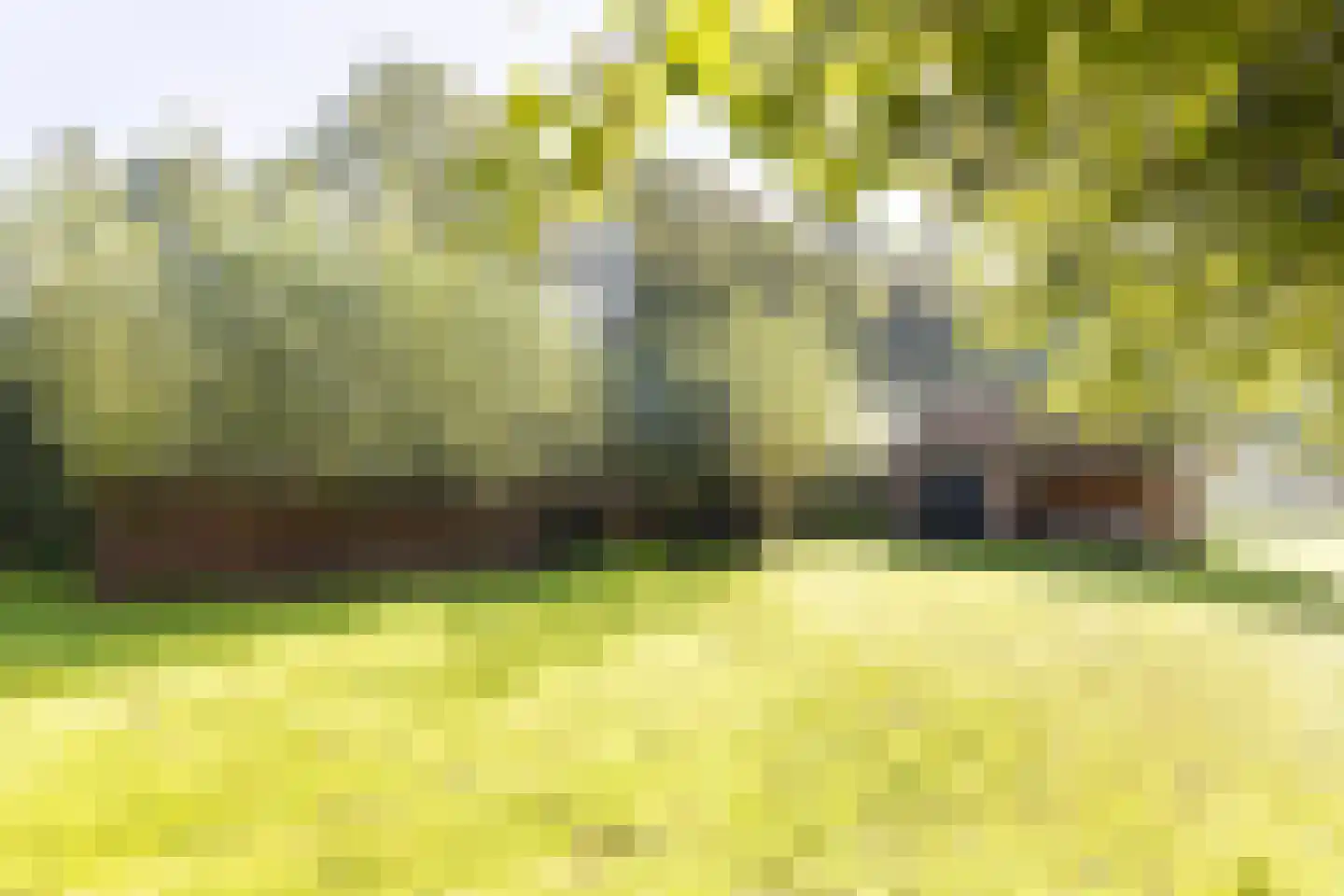 Wilnisse Zuwe 35 Wilnis thumbnail 67