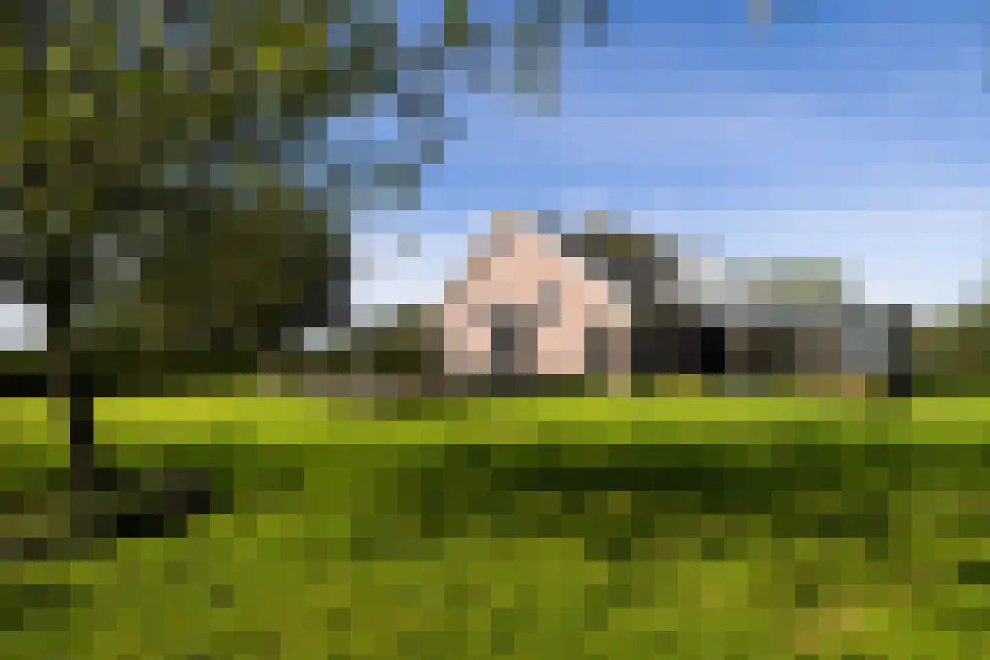 Wilnisse Zuwe 35 Wilnis thumbnail 7