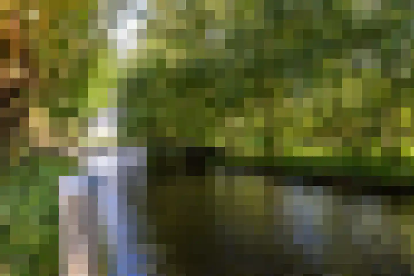 Wilnisse Zuwe 35 Wilnis thumbnail 70