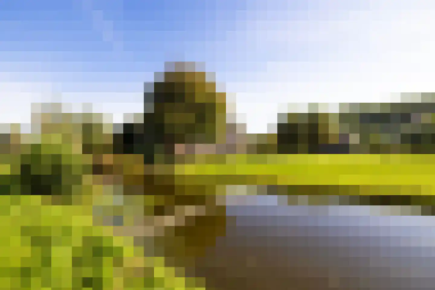 Wilnisse Zuwe 35 Wilnis thumbnail 73