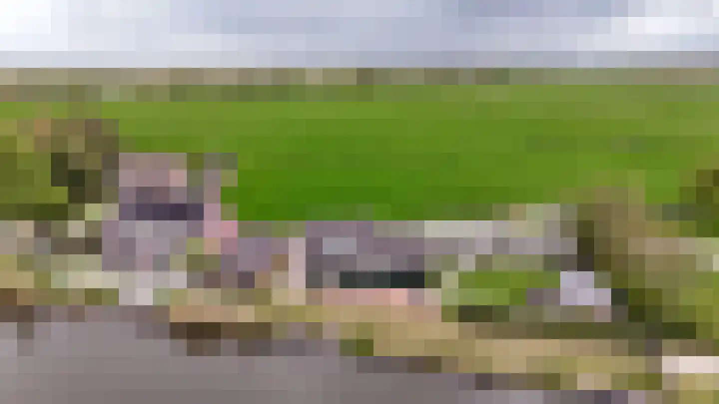 Wilnisse Zuwe 55 Wilnis thumbnail 10