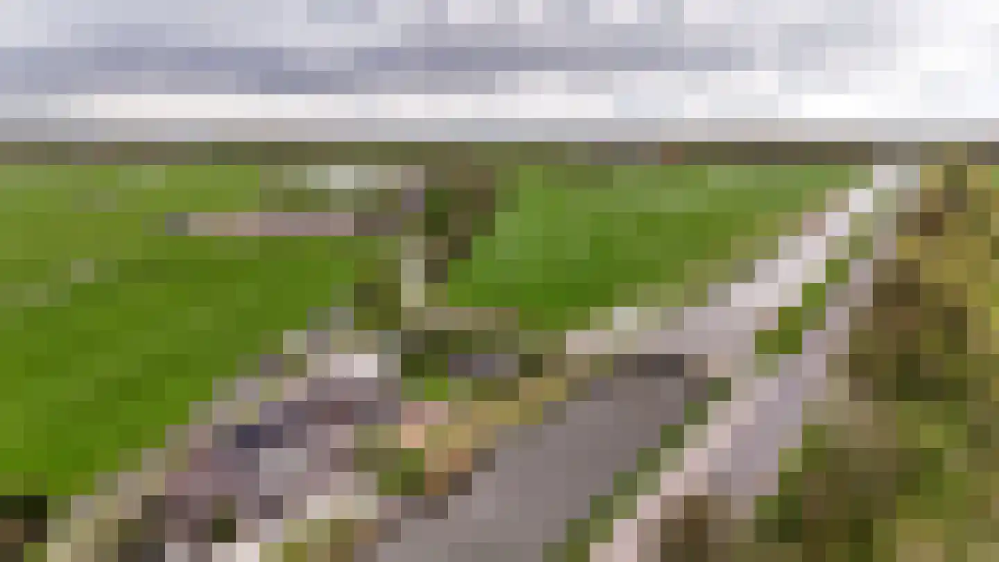 Wilnisse Zuwe 55 Wilnis thumbnail 11