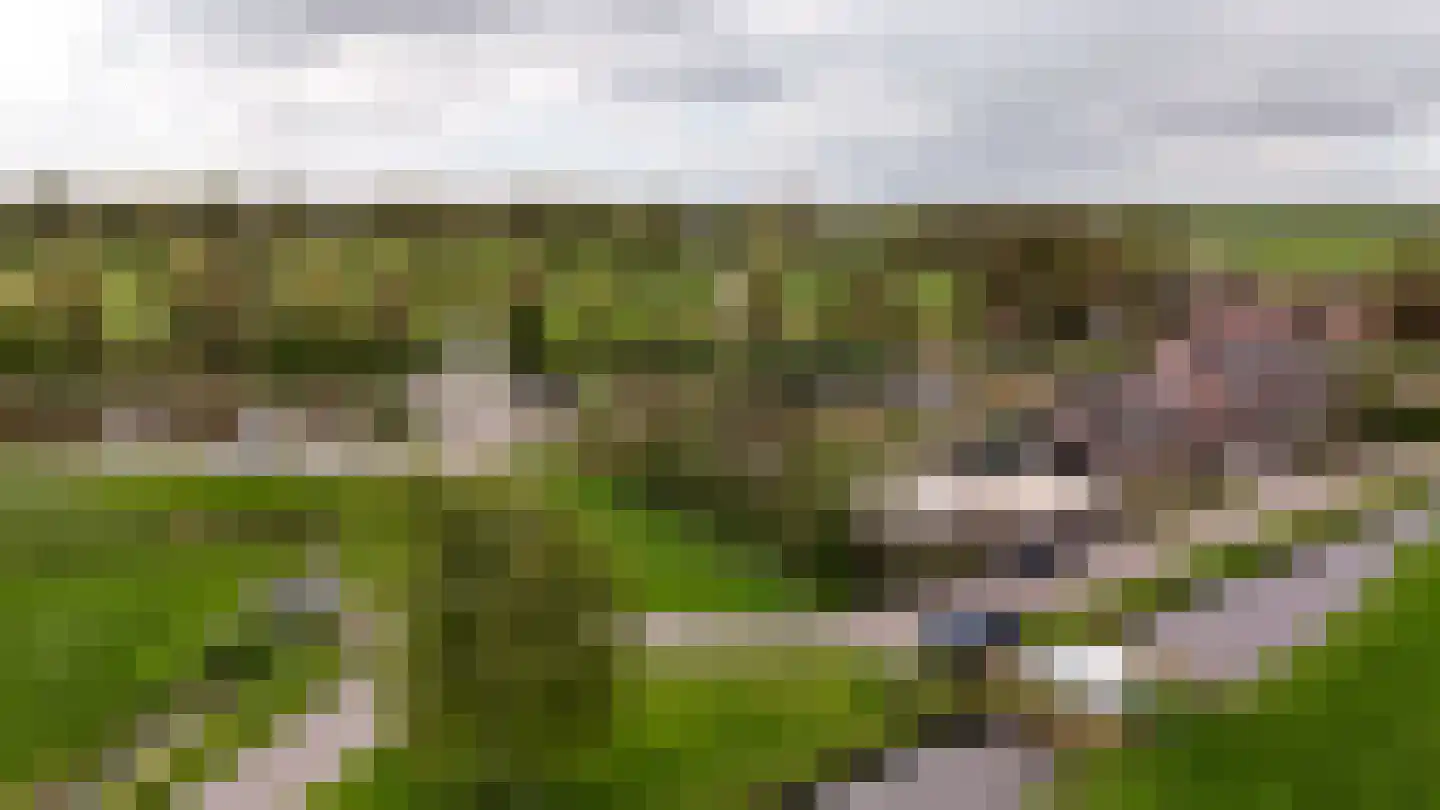 Wilnisse Zuwe 55 Wilnis thumbnail 13