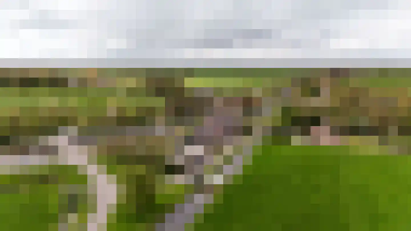 Wilnisse Zuwe 55 Wilnis thumbnail 14