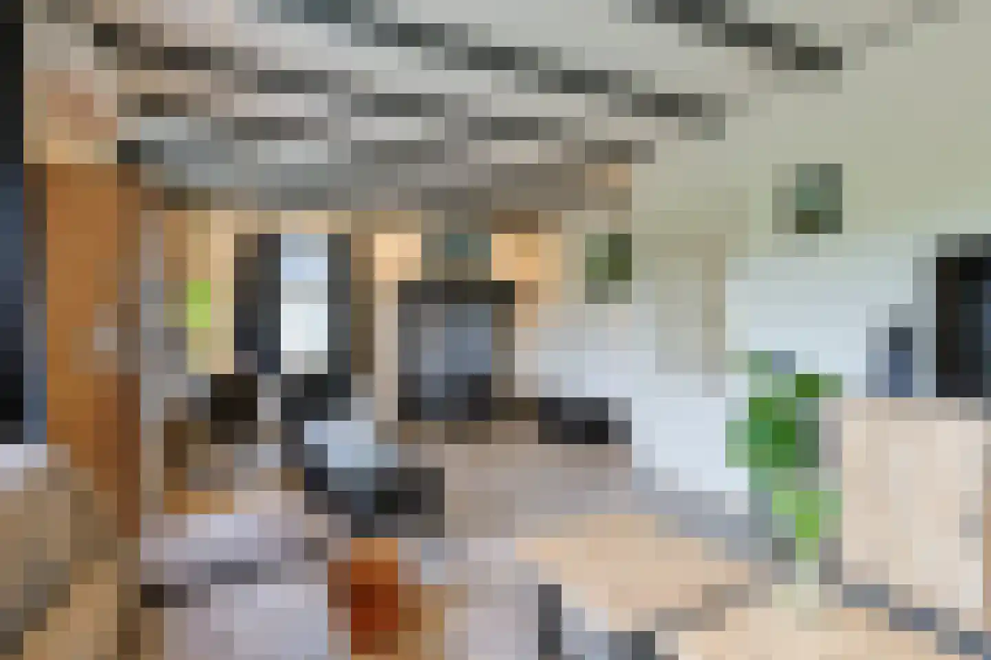 Wilnisse Zuwe 55 Wilnis thumbnail 30