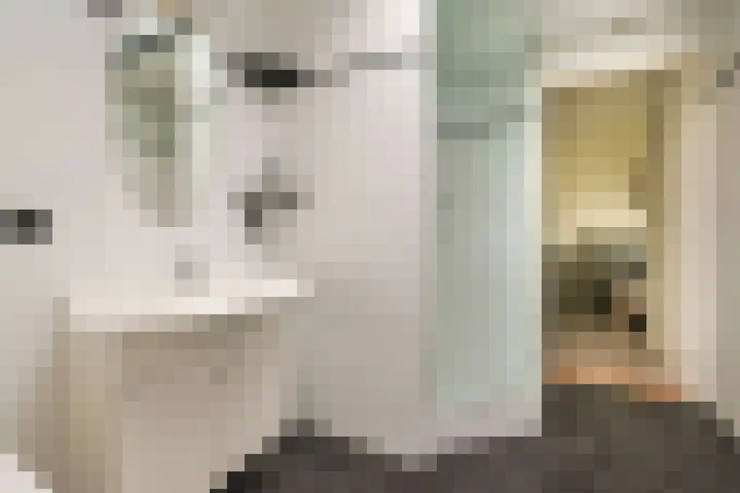 Wilnisse Zuwe 55 Wilnis thumbnail 39