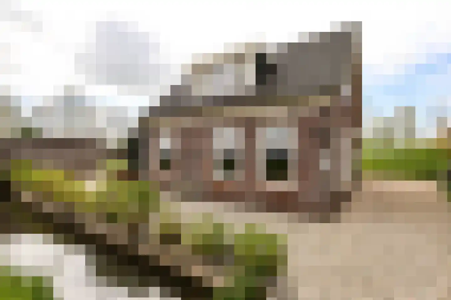 Wilnisse Zuwe 55 Wilnis thumbnail 4