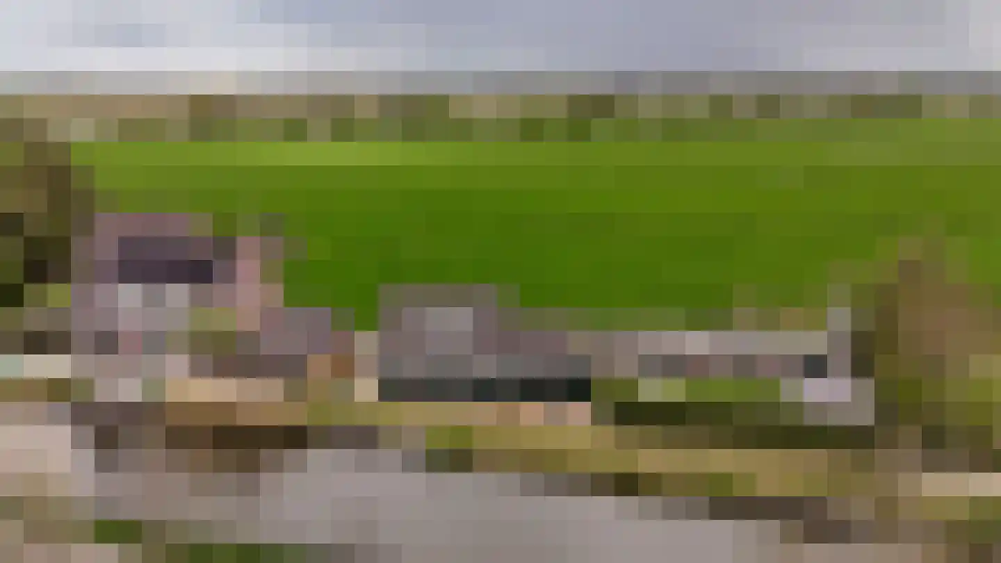 Wilnisse Zuwe 55 Wilnis thumbnail 5
