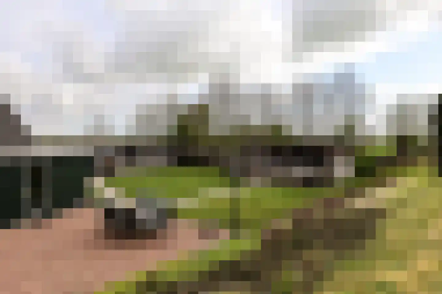 Wilnisse Zuwe 55 Wilnis thumbnail 56