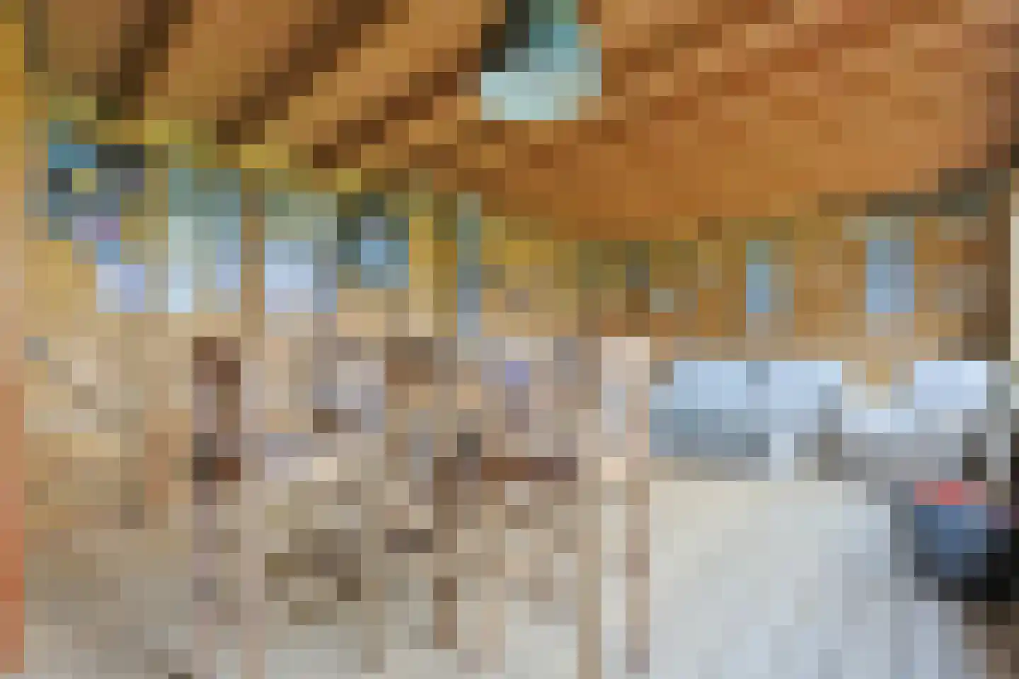 Wilnisse Zuwe 55 Wilnis thumbnail 58
